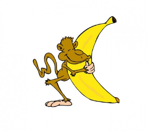 Öt éhes majom, akik féltek megszerezni a banánt!